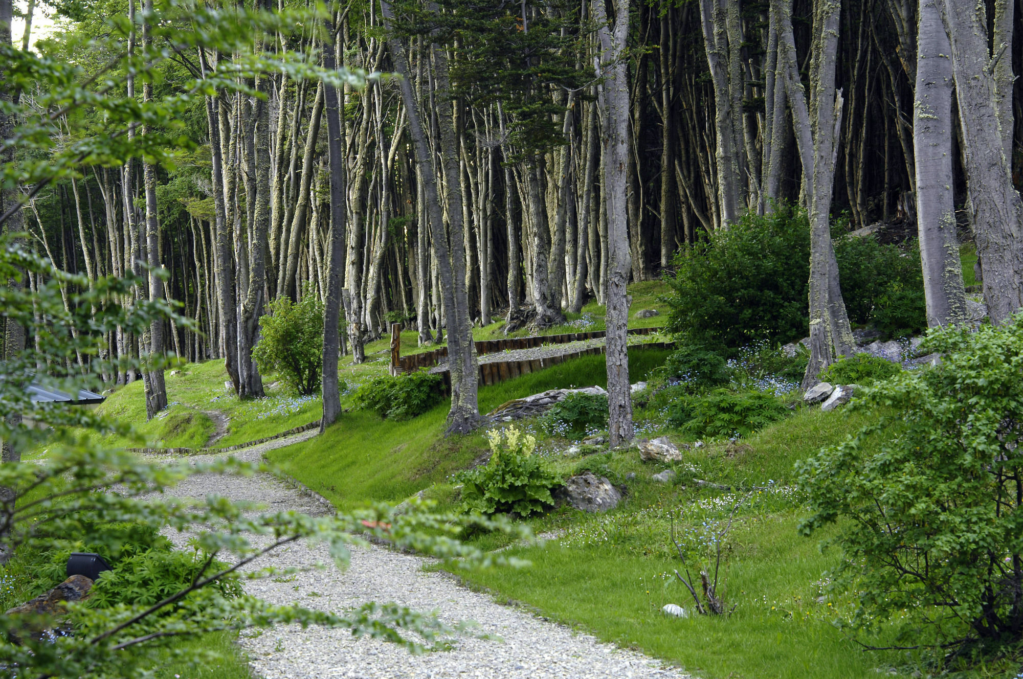Las Hayas Ushuaia Resort Екстериор снимка